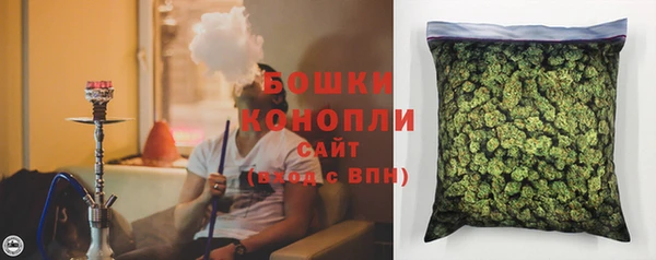 стаф Коряжма