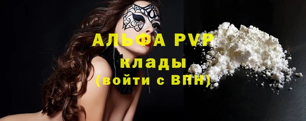 сатива Корсаков