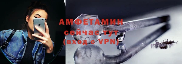сатива Корсаков