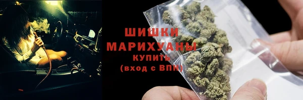 стаф Коряжма