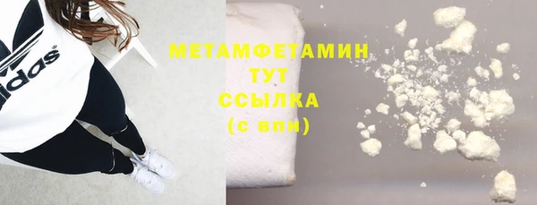 сатива Корсаков