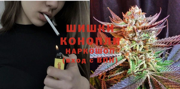 сатива Корсаков