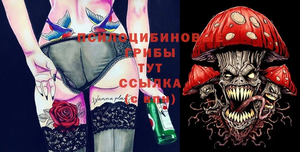 сатива Корсаков
