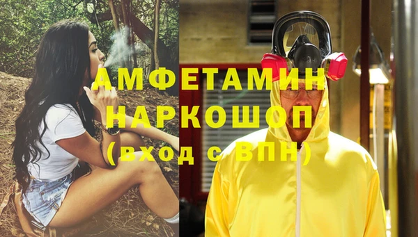 сатива Корсаков