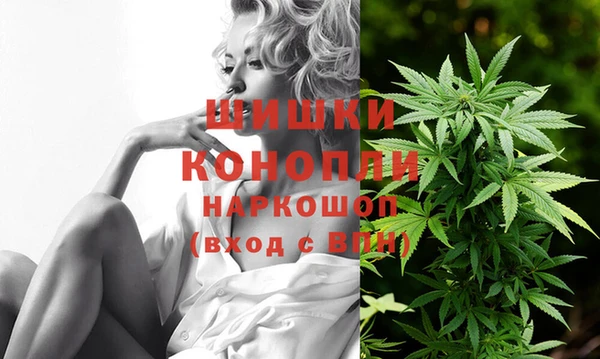 стаф Коряжма