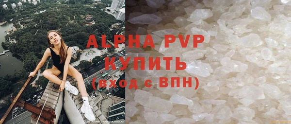 стаф Коряжма