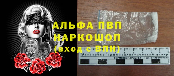 стаф Коряжма