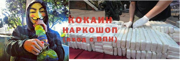 сатива Корсаков