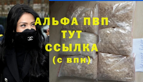 стаф Коряжма